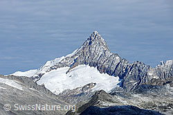 F101472: Finsteraarhorn vom Eggerhorn