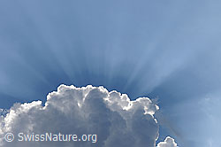F101600: Quellwolke und Sonnenstrahlen