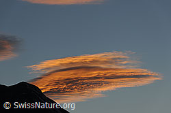 F101612: Glühende Wolke am Abendhimmel