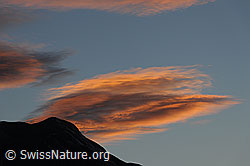 F101617: Abendstimmung mit gefärbten Linsenwolken