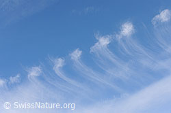 F102375: Interessantes Muster aus Federwolken am blaumen Himmel