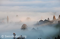 F103201: Nebelgrenze in besiedeltem Gebiet
