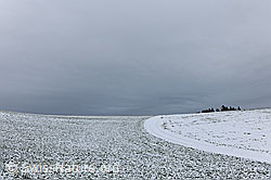 F103517: Linien in frisch verschneiter Landschaft
