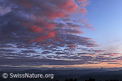 F103649: Wolkenstimmung am Abendhimmel