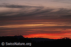 F103694: Schichtwolken am Abendhimmel