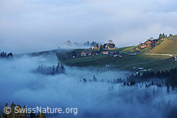 F103788: Nebelstimmung an der Nebelgrenze und Nebelmeer über dem Emmental