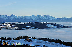 F103800: Nebelmeer in Hügellandschaft vor Stockhorn und Gantrischkette
