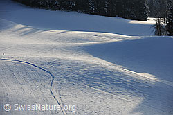 F104386: Schneebedeckte Landschaft mit Bodenwellen im Licht und Schatten