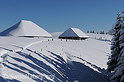 F104644: Alphütten in sonniger Winterlandschaft