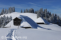 F104663: Alphütten in tief verschneiter, sonniger Winterlandschaft