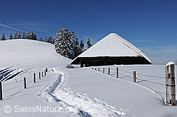 F104667: Alphütte in Schneelandschaft