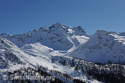 F104815: Schwarzhorn und Stockhorn im Winter