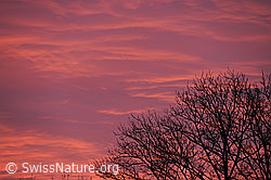 F104830: Abendstimmung mit starkem Abendrot