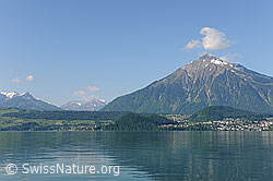 F107121: Blick über den Thunersee zum Niesen