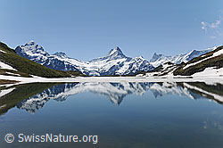 F108213: Spiegelung im Bachalpsee