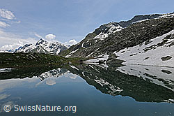 F109041: Schaplersee mit symmetrischer Spiegelung