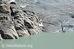 F109531: Rhonegletscher