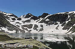F110090: Blausee (Saflischtal)