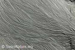 F110657: Bodenbild in einer Schwemmebene