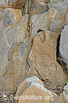 F110859: Felsstrukturen