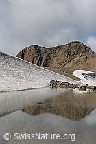 F110874: Spiegelung von Schnee und Fels in einem Bergsee