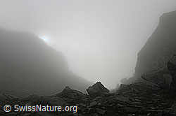 F110923: Mystische Nebelstimmung am Albrunpass