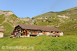 F111349: Alpbetrieb in den Voralpen