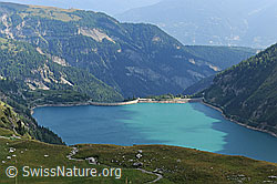 F111565: Lac de Tseuzier