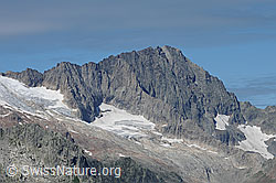 Foto: Ritzlihorn, Ärlengrätli und Ärlengletscher