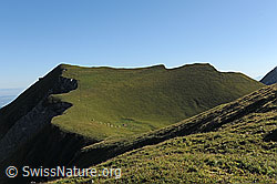 F111756: Gipfel der Bürglen (Morgeten Solar)