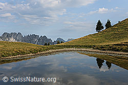 F111828: Wolken und zwei Tannen spiegeln sich im Wasser