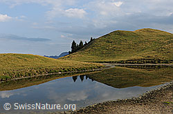 F111829: Liebliche Hügel mit Spiegelung
