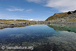 F112224: Bergsee mit Spiegelung