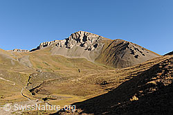 F112461: Saflischhorli vom Saflischpass