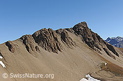 F112550: Saflischhorli von Westen