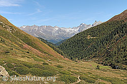 F112609: Im Aufstieg durch das Saflischtal zum Saflischpass