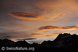 F113031: Morgenstimmung über dem Ofenhorn