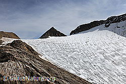 Foto: Berglandschaft mit Fäldbachgletscher