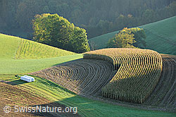 F113459: Formen in der Landschaft