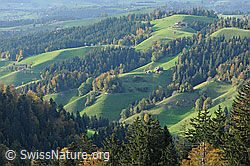 F113711: Hügellandschaft