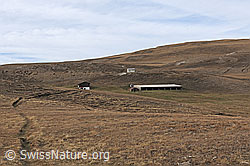 F114460: Alp Furggerchäller im Spätherbst