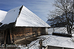 F115054: Alphütte im Winter