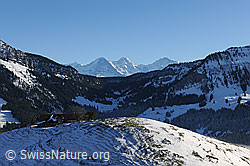 F115154: Blick über den Grünenbergpass auf Eiger, Mönch und Jungfrau