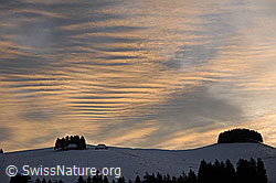 F115363: Morgenstimmung über dem Rämisgummen