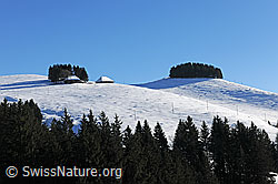 F115397: Rämisgummen im Winter