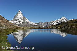 F119278: Spiegelung vom Matterhorn und Dent Blanche im Riffelsee