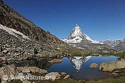 F119301: Spiegelung des Matterhons im kleinen Riffelsee