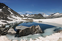 F119606: Bergsee in unberührter Berglanschaft