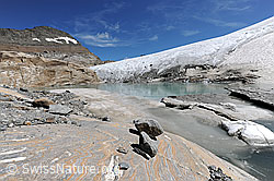 F120500: Glestcherschlif am Gletschersee