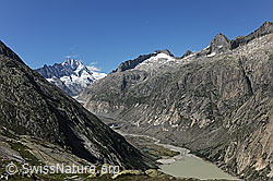F120687: Tiefblick auf das Ufer des Grimselsees